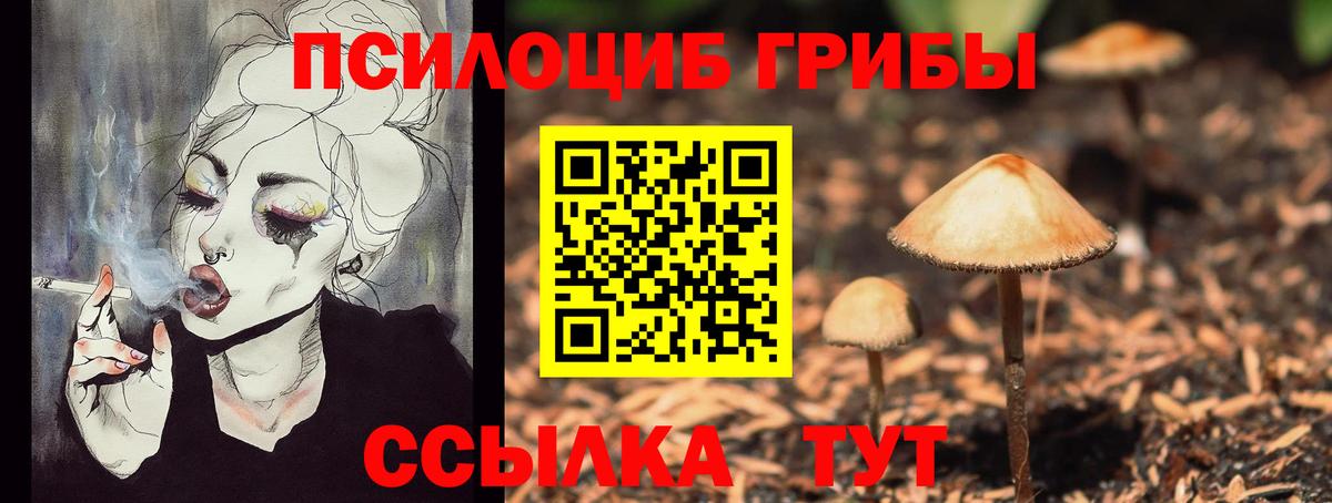 Галлюциногенные грибы Psilocybine cubensis  Псилоцибиновые грибы MAGIC MUSHROOMS  Вход с VPN  Вышний Волочёк 